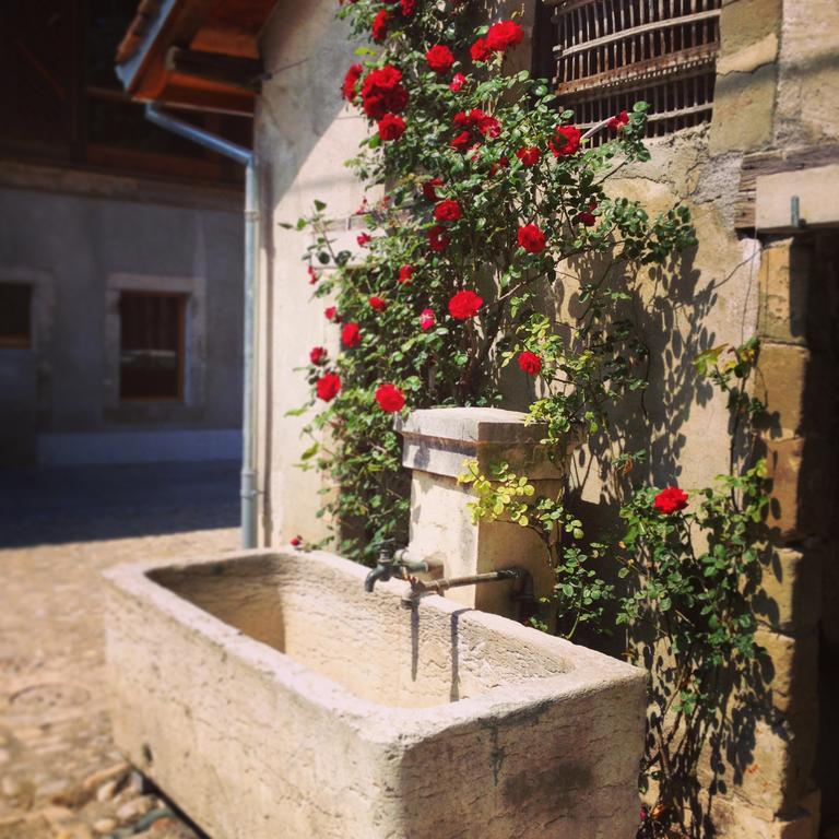 Ferme Du Lignon Maison d'hôtes *